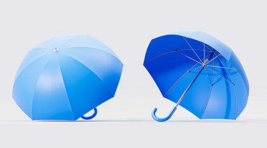 202511 Innovator Grid