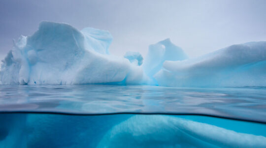 Esg wp grid 1024x569