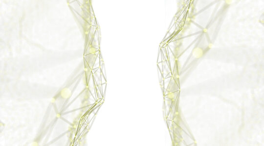 White paper schwab mitigating biases 1024x569