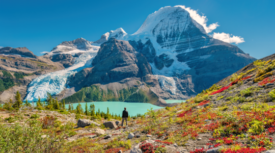 Canadian etfs 2021 website hero image 1024x569