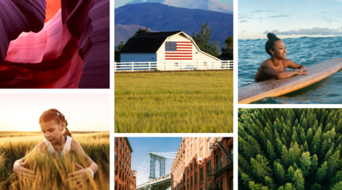 Ed jones web grid 1640x911