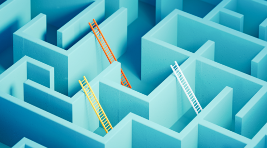 Nicsa web grid 1024x569